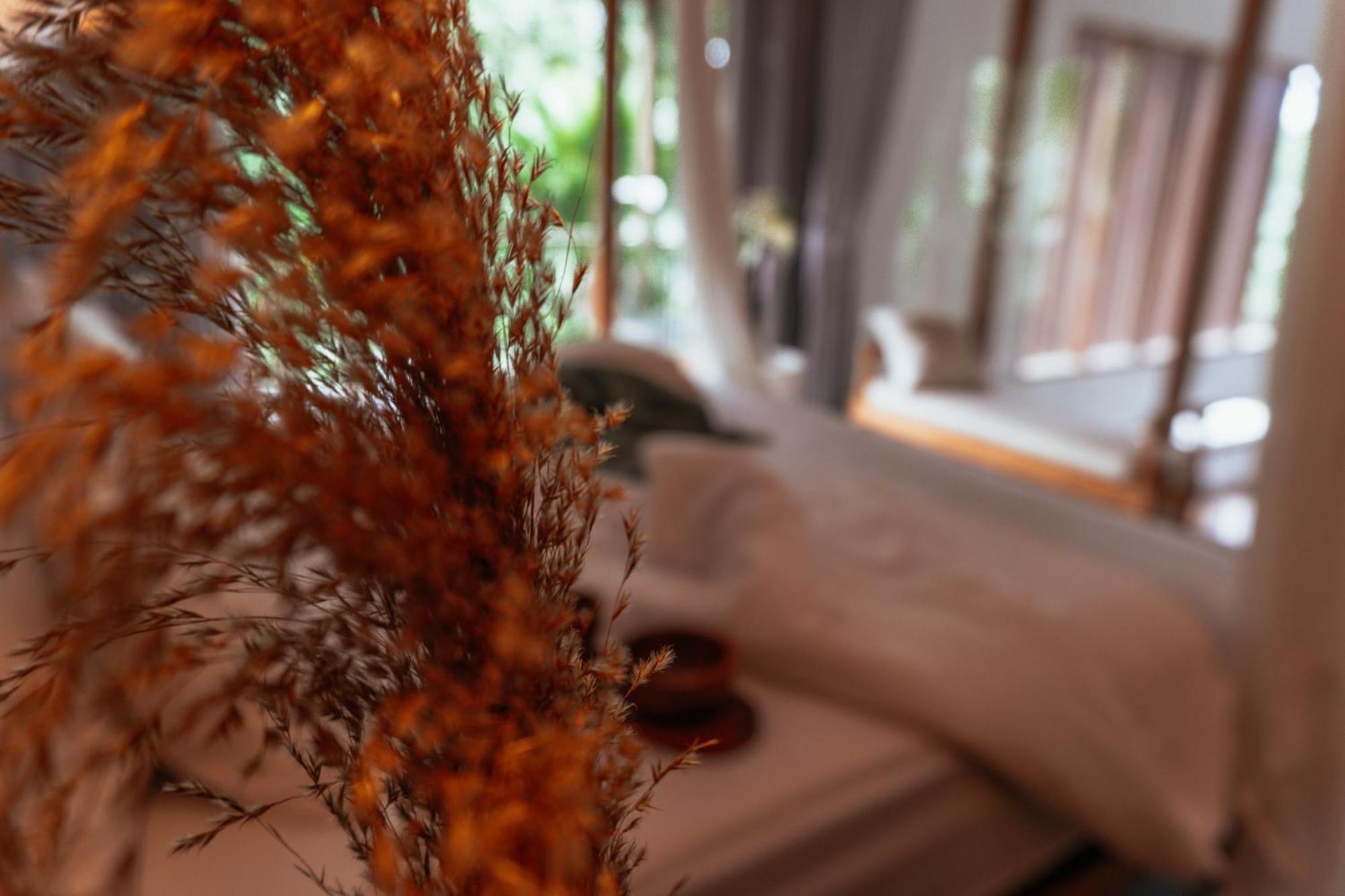 Outerphi Suweta Villa Ubud